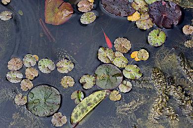 复古科幻射击游戏《恐外症》现已在Steam平台正式推出